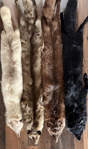 Echt pelz fuchs schal - pelz, stola