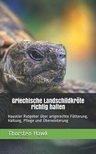Griechische Landschildkröte