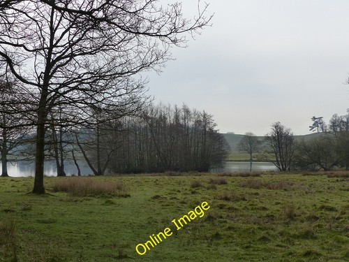 Foto 12x8 petworth park - petworth,
