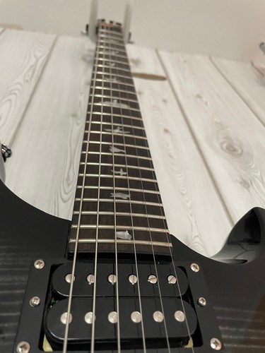 Prs paul reed smith - paul,