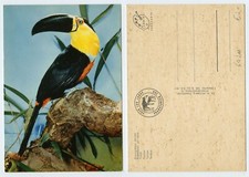 122287 - Tukan - Zoologischer Garten Frankfurt am Main - alte Ansichtskarte