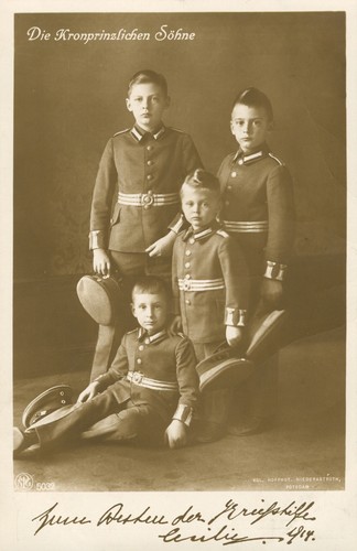Söhne des kronprinzen wilhem - des,
