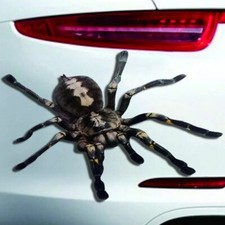 Autoaufkleber spinne 2 - autoaufkleber, "
