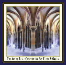 The art pan - konzert, für