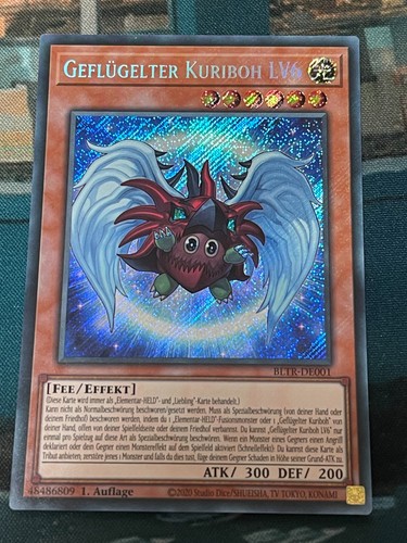 Geflügelter kuriboh lv6 - kuriboh,
