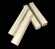 Pen-Blank Multiplex Birke