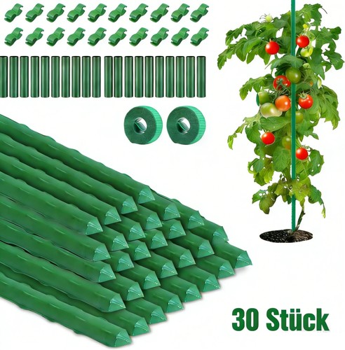 30x pflanzstab - 30x,