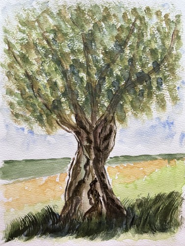 Original aquarell landschaft - original,