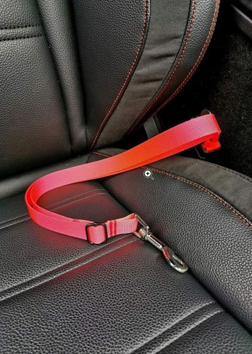 Hundeleine für auto - hundeleine,