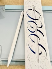 Apple Pencil Pro for iPad Pro