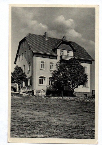 Weinberg mittelndorf - weinberg,