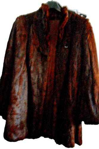 Pelz kaninchen jacke - kaninchen,