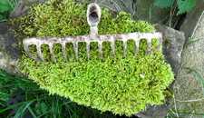 Alter Rechen Recha Recher