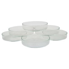 6er Set Petrischale Laborschale Laborglas Glasschale AR-Glas 75x15 mm 