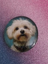 MAGNET -- MALTESER -- HUND  --