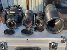 Canon EOS 750D / 24.2 MP