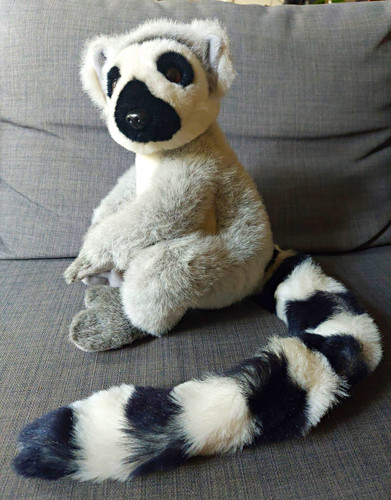 Katta lemur stofftier - katta,