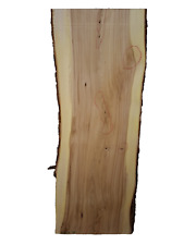 1x Ulme Rüster Bohle Brett