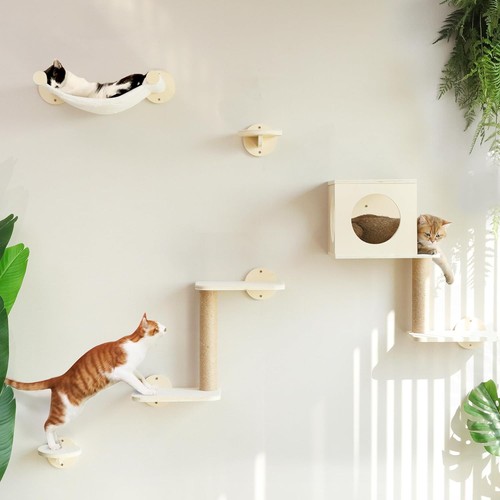 Kletterwand für katzen - für,