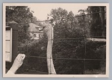Basel Switzerland 1955 - Zoo