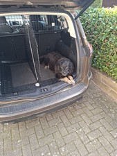 Neuwertiges Hundegitter von