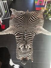 Großes Zebrafell XL - Südafrika Zebra Deko Teppich guter Zustand - 295x210 cm
