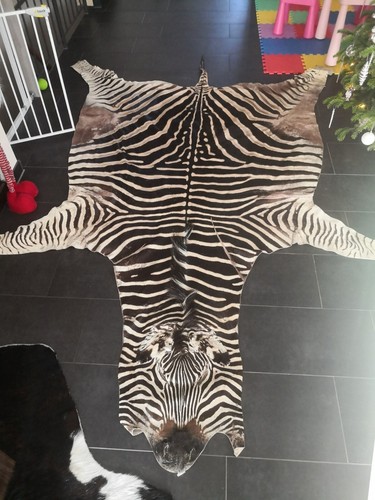 Großes zebrafell - großes,