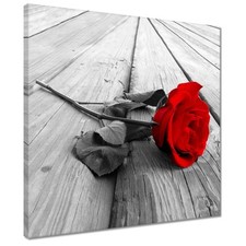 Leinwand Bild Wandbild Canvas