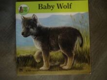 Baby Wolf (Look Look) von beth-spanjian-golden-books-staff | Buch | Zustand gut