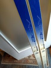 Langlaufski in Berlin