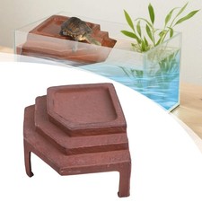 Schildkröten-Aalen-Plattform-