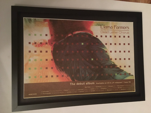 Llama farmers dead - llama, letter