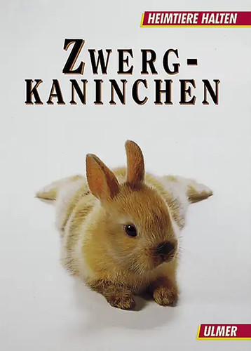 Zwergkaninchen verhalten - zwergkaninchen:,