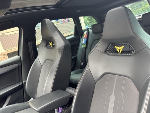 Cupra sitzt gitter - cupra,