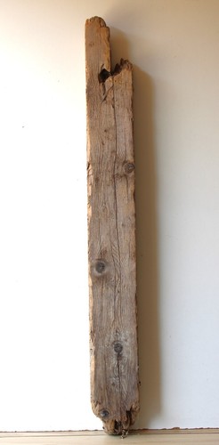 Treibholz schwemmholz - treibholz,