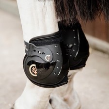 Kentucky fetlock elastic - kentucky,