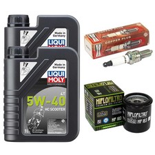 Inspektion Set Ölfilter