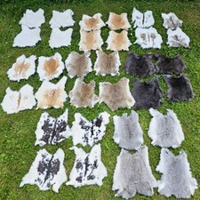 Kaninchen Felle Kaninchenfell viele Natur Farben TOP Gerbung