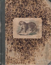 Fliegende Blätter für die Jugend - 1. Band, Hallberger, Eduard. 1849