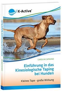 Einführung das - einführung, in