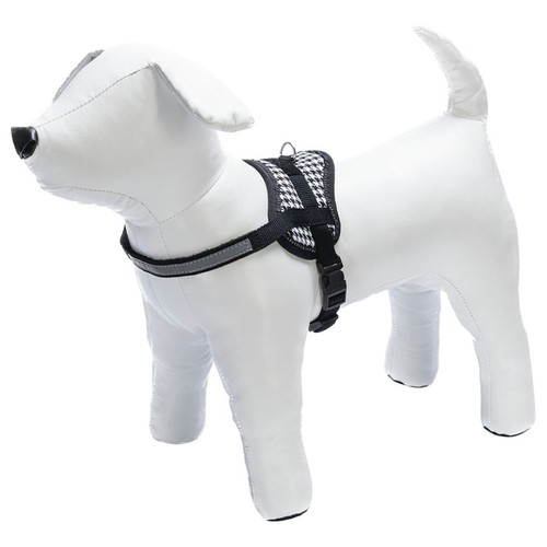Karlie teeny weeny hunde - teeny,