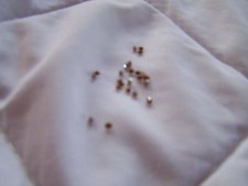 Fimo Kinderknete Zubehör