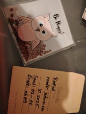 Rettich "Runder schwarzer