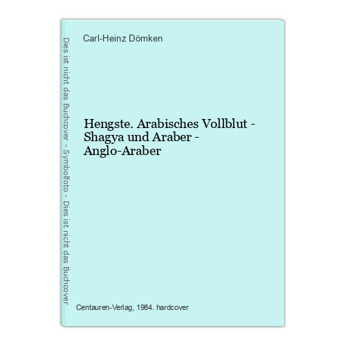 Hengste arabisches vollblut - vollblut,