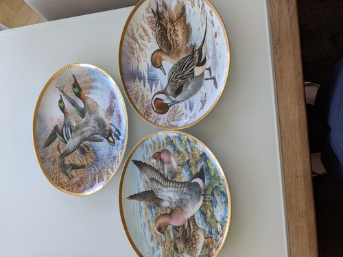 Wandteller porzellan vögel - 3,