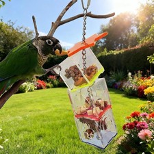 Papagei Futtersuche Spielzeug