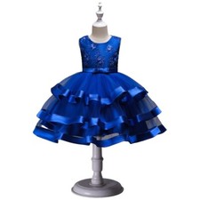 Kleid Prinzessin Mädchen