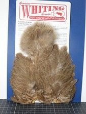 Whiting Brahma Hen Softhackle