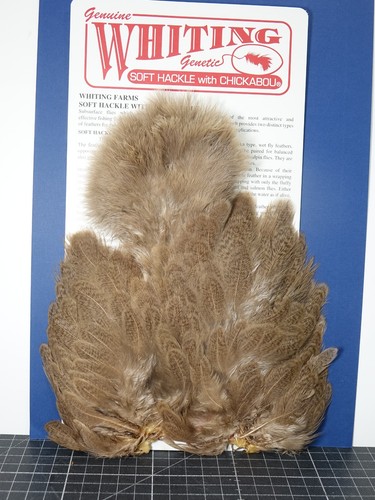Whiting brahma hen softhackle - whiting,