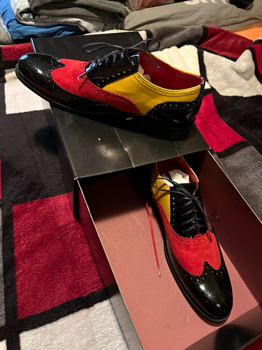 Cirotti herren brogue - cirotti,